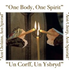 Wythnos Gweddi dros Undod Cristnogol